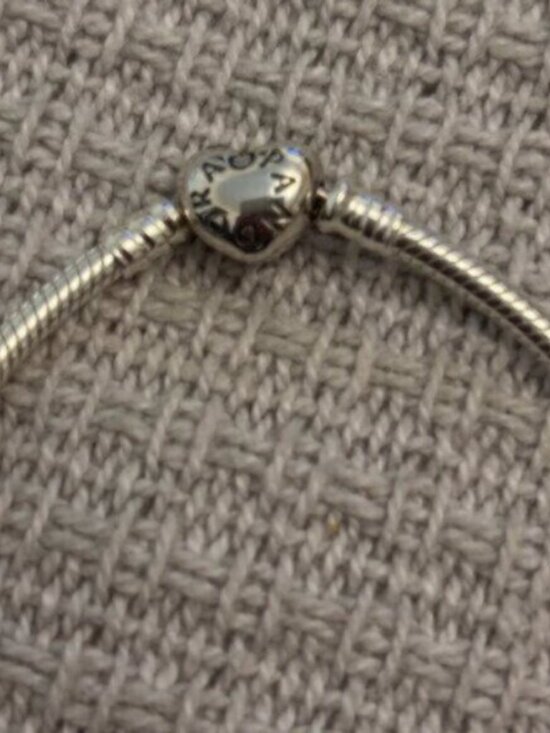 NWT Pandora Bracelet - Picture 3 of 6